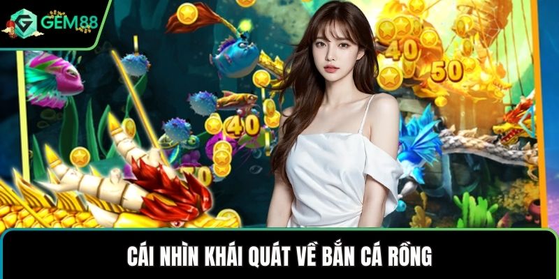 Cái nhìn khái quát về bắn cá rồng