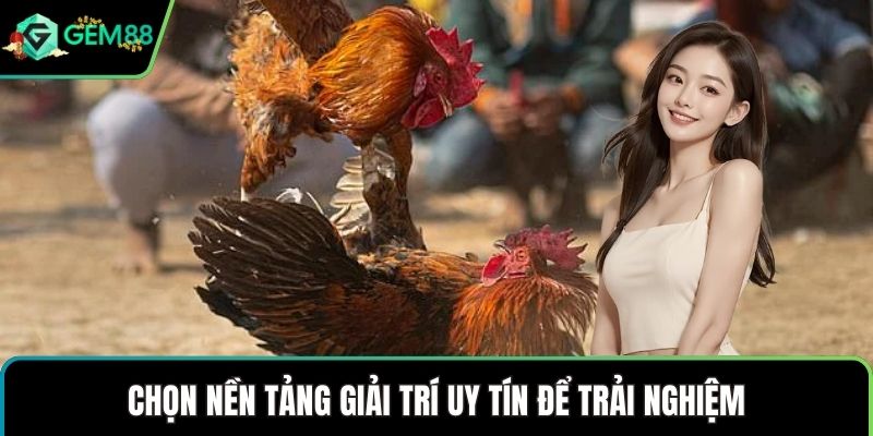 Chọn nền tảng giải trí uy tín để trải nghiệm