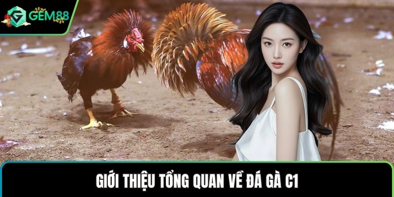 Giới thiệu tổng quan về đá gà C1